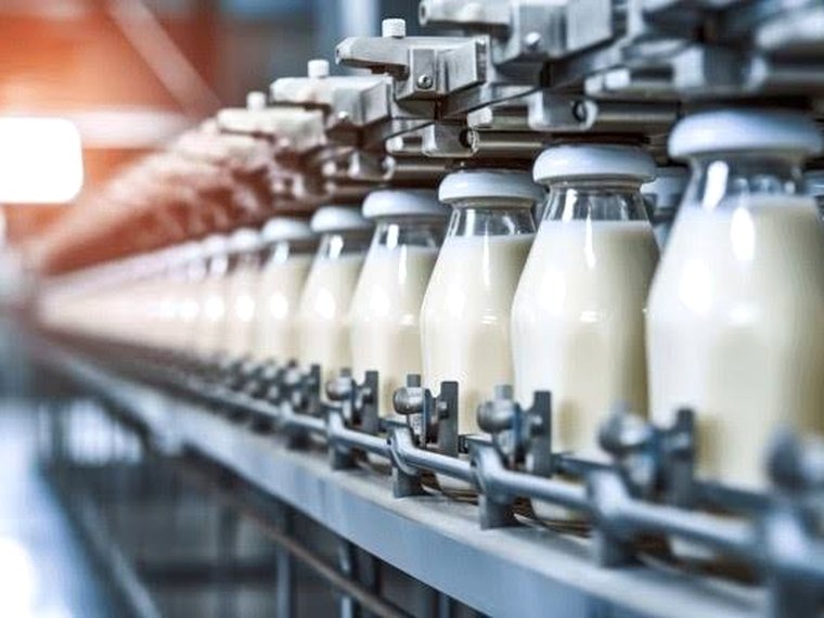 Dairy industry