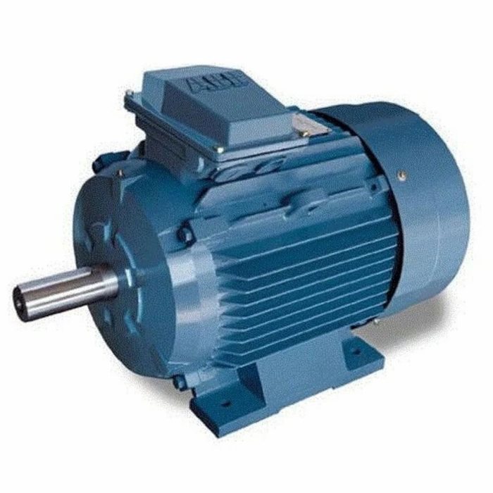 Industrial motor